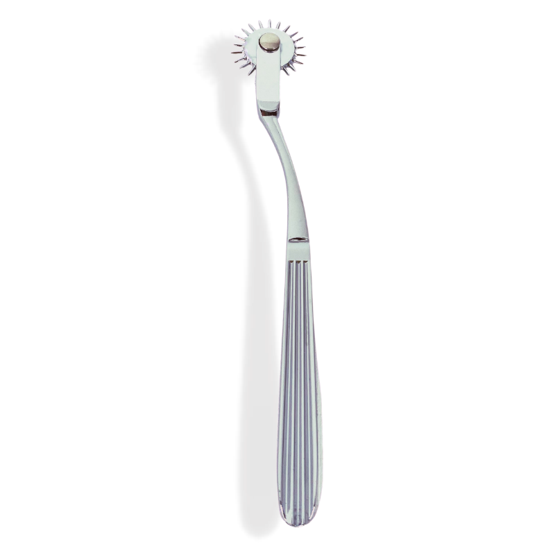 Terra- The Ultimate BDSM Pinwheel and Wartenberg Wheel